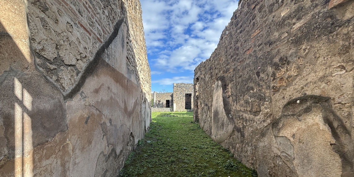 Maison du Cithariste, Pompéi