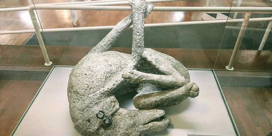 Moulage chien Pompéi